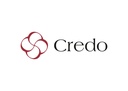 Сухие смеси компании Credo